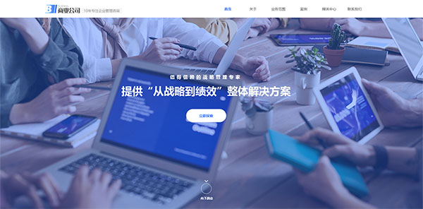 商务公司网站模板T10559.jpg